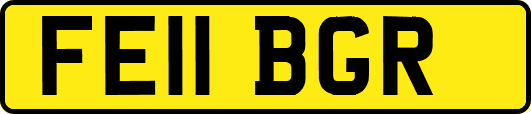 FE11BGR