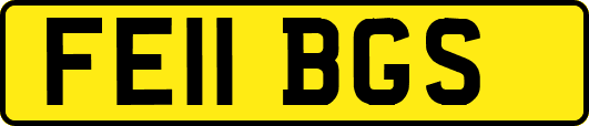 FE11BGS