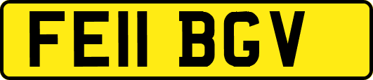 FE11BGV