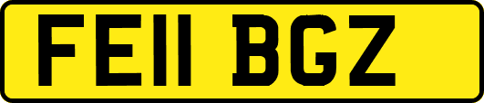 FE11BGZ