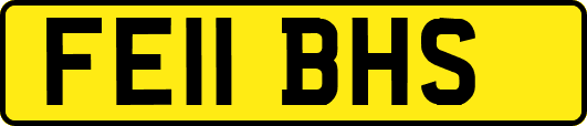 FE11BHS