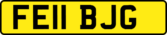 FE11BJG
