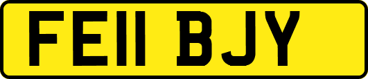 FE11BJY