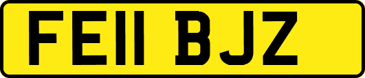 FE11BJZ