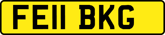 FE11BKG