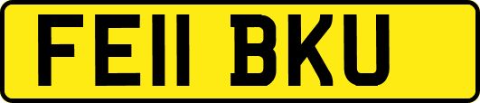 FE11BKU