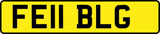 FE11BLG