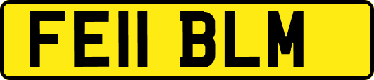 FE11BLM