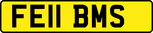 FE11BMS