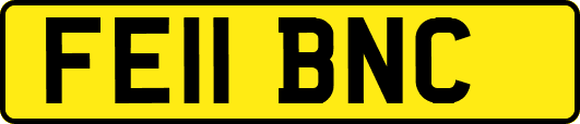 FE11BNC
