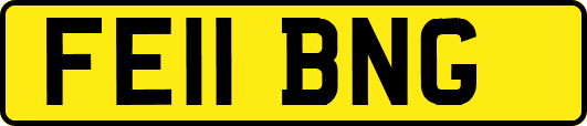 FE11BNG