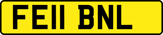 FE11BNL