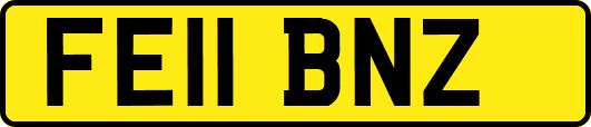 FE11BNZ