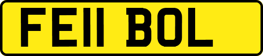 FE11BOL