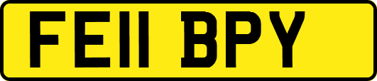 FE11BPY