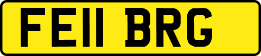 FE11BRG