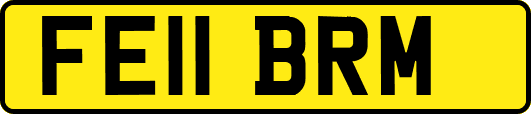 FE11BRM