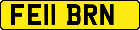 FE11BRN