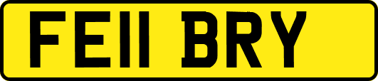 FE11BRY