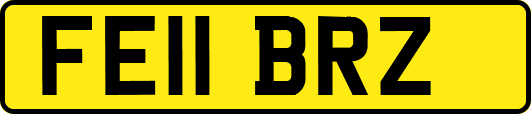 FE11BRZ