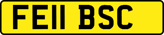 FE11BSC