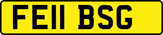 FE11BSG