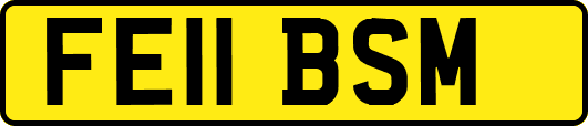 FE11BSM