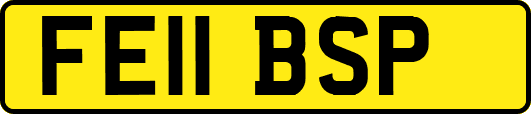 FE11BSP