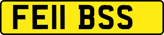 FE11BSS