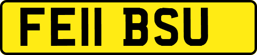 FE11BSU