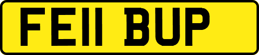FE11BUP