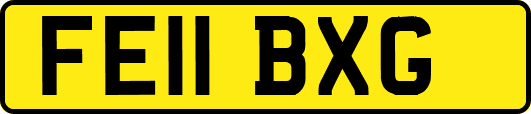 FE11BXG