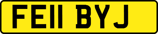 FE11BYJ