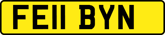 FE11BYN