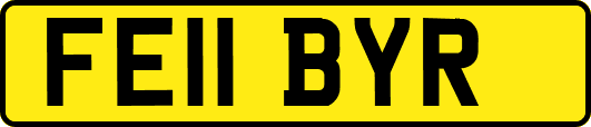 FE11BYR