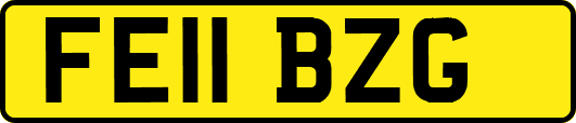FE11BZG