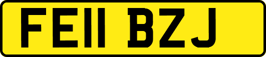 FE11BZJ