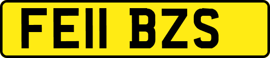 FE11BZS