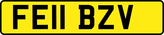 FE11BZV