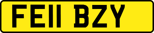 FE11BZY