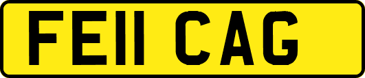 FE11CAG
