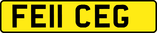 FE11CEG