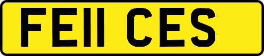 FE11CES