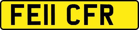 FE11CFR