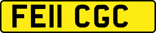 FE11CGC