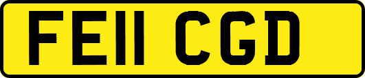 FE11CGD