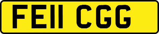 FE11CGG