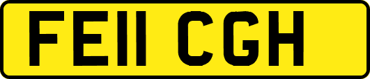 FE11CGH