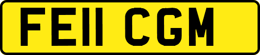 FE11CGM