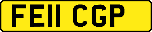 FE11CGP